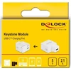 „Delock“ maitinimo adapteris – USB-C