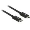 Delock Cable Thunderbolt™ 3 USB-C™ kištukas > USB-C™ 2,0 m