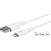 USB adapteris eStuff (ES601004)