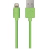 USB kabelis OWC USB-A - Žaibas 1 m žalias (NWTCBLUSBL1MGN)