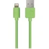USB kabelis OWC USB-A - Žaibas 1 m žalias (NWTCBLUSBL1MGN)