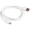 USB kabelis OWC USB-A - Žaibas 1 m Baltas (NWTCBLUSBL1MW)