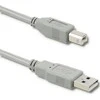QOLTEC 50392 Qoltec kabelis USB 2.0 tipo A kištukas USB B kištukas 5 m