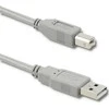QOLTEC 50395 Qoltec kabelis USB 2.0 tipo A kištukas USB B kištukas 1m