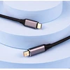 USB laidas Reagle Thunderbolt - mini DisplayPort 1,8 m juodas-sidabrinis