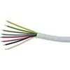 TP-Link KABELIS YTDY-8X0.5