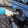 Įkrovimo kabelis automobiliams InLine įkrovimo kabelis automobiliui 11kW Typ2 3-fazis 2,5m