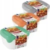 Plastikinių maisto laikymo indelių rinkinys CURVER Fresh&amp;Go, mėtinės, pilkos, rausvos sp., 3x0,8L