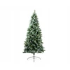 Kaemingk Everlands Dirbtinė Kalėdų eglutė Norwich pine frosted, 210 cm
