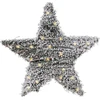 Vilde Šviečianti žvaigždė 30 LED 40 cm