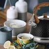 Ofenbach Kamille Virdulys NIEELEKTRYCZNY 100305BL JUODA 2.7 L