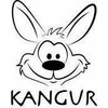 Kangur „Kangaroo Games Kids vs. Parents“ anglų kalbos mūšiai 40438