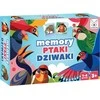 Dėlionė Kangur Kengūros žaidimų atminties žaidimas „Paukščių keistuoliai“ 40896