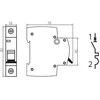Kanlux 23151 Grandinės pertraukiklis 1P C 25A 6kA AC KMB6-C25/1 VDE 23151