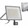 Kanlux NASH.LED alyvos lemputė 100W CCT SE GR