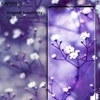 KAPSOLO „iPhone 12 Pro Max“ grūdinto stiklo ekranas...