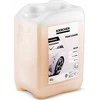 Karcher automobilių valiklis PressurePro Professional RM 838 direct; 3 l