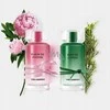 Karl Lagerfeld Les Parfums Matieres Bois de Cypres EDT tualetinis vanduo vyrams, 50 ml