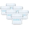 Kasetė filtrujący Evolve Kasetė filtras Aqua Optima Evolve+ 6 vnt do brita maxtra dafi unimax aquaphor