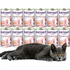 KATTOVIT Feline Niere Renal gėrimas Duck - kačių skanėstai - 135ml