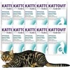 Drėgnas Kačių Maistas - Kattovit Feline Diet Gastro antiena Su Ryžiais 85g