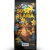 Kavos pupelės Beans Republic Solaria 1kg