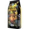 Kavos pupelės Beans Republic Solaria 1kg