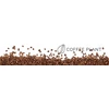 Kavos pupelės COFFEE PLANT Kenia Kiboko be kofeino 250 g - be kofeino