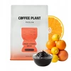 Kavos pupelės COFFEE PLANT Kenia Kiboko be kofeino 250 g - be kofeino