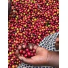 Kavos pupelės Muhabura Kavos pupelės RWANDA MUHABURA HONEY ESPRESSO 1kg