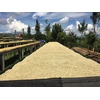 Kavos pupelės Muhabura Kavos pupelės RWANDA MUHABURA NATURAL ESPRESSO 400g