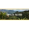 Kavos pupelės Świeżo Palona Kavos pupelės Colombia Supremo Don Pablo Quindio Washed 1kg