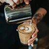 Kavos pupelės Wysocki Coffee Braziliškos skrudinimo kavos pupelės 1kg