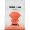 Coffee Plant KAVOS AUGALAS - Hondūras Sebastian Mejia medaus filtras 250 g