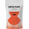 COFFEE PLANT - FLOW Blossom Filter 100g