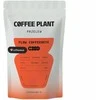 COFFEE PLANT - FLOW Coffeedesk Filter 100g