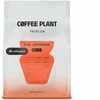 COFFEE PLANT - FLOW Coffeedesk Filter 250g