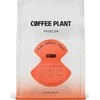 COFFEE PLANT - FLOW Jungle Fruit Filter 250g