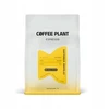 Kavos pupelės Coffee Plant Kavos pupelės COFFEE PLANT Gwatemala Makowce 250g