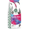 Kawa ziarnista CoffeeGuru Costa Rica 250 g