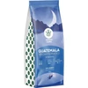 Kawa ziarnista CoffeeGuru Guatemala 250 g
