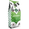 Kawa ziarnista CoffeeGuru Indonesia 1kg
