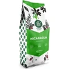 Kawa ziarnista CoffeeGuru Nicaragua 1kg