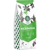 Kawa ziarnista CoffeeGuru Nicaragua 250 g