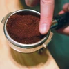 Coffeelab Cafelito - Kavos paukščiai, visa skrudinta kava, 250 g