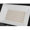 KELTIN prožektorius 50 W LED prožektorius – šiltai balta spalva 2700 K (50)