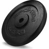 Diskinis svoris Spokey, 1kg