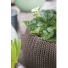 Keter COZIES KNIT gėlių vazonas - šviesiai rudas