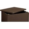 Keter Darza galdins/uzglabasanas kaste Arica bruns 29200570599