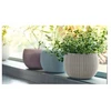 Keter Curver Keter COZIES TRIO 3 vnt violet piakowy mėlyna